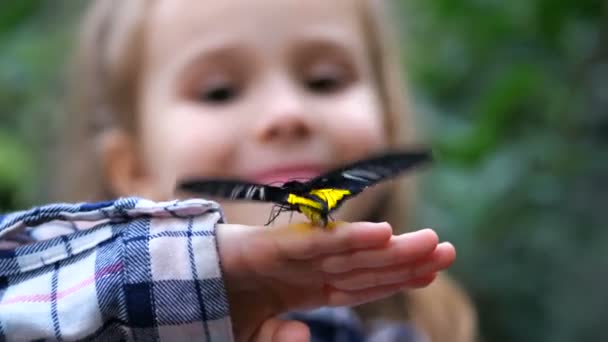 Γκρο πλαν. Μια πεταλούδα φτερουγίζει τα φτερά της στο χέρι της ένα κοριτσάκι. 4 k αργή Mo — Αρχείο Βίντεο