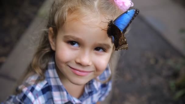 Ansiktet av en glad brunögd tjej. Hon har en fjäril på huvudet. 4 k långsamma Mo — Stockvideo