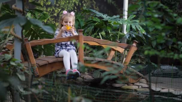 Het meisje heeft leuke spelen op de brug in de tuin. 4 k Slow Mo — Stockvideo