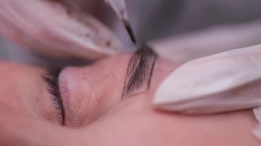 Close. Kaş, hangi bir uzman bir iğne enjekte ve bir pigment uygulamak. Kalıcı makyaj. 4k Yavaş Mo
