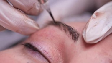 Toz kaş püskürtme. Kaşta pigment uygulamasının yakın çekim. 4k Yavaş Mo