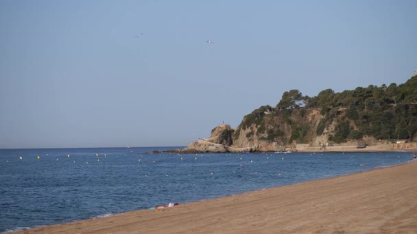 Plage calme et déserte. Les goélands volent dans le ciel. Mo lent 4K — Video