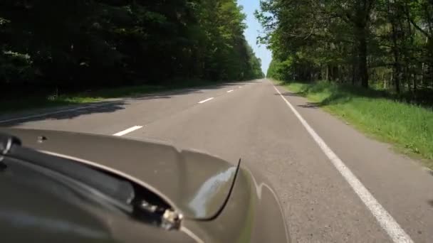 L'auto va lungo la strada lungo la foresta verde, si può vedere il cofano. 4K Lento Lu — Video Stock