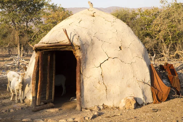 This primitive hut houses Himba people who are endemic to Namibia.