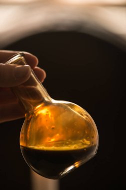 Test balsamik sirke modena