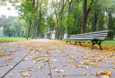 Sarı yapraklar ve boş banklar bu sonbaharda Park