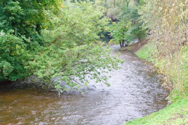 sonbahar ağaçları arasında küçük nehir akar