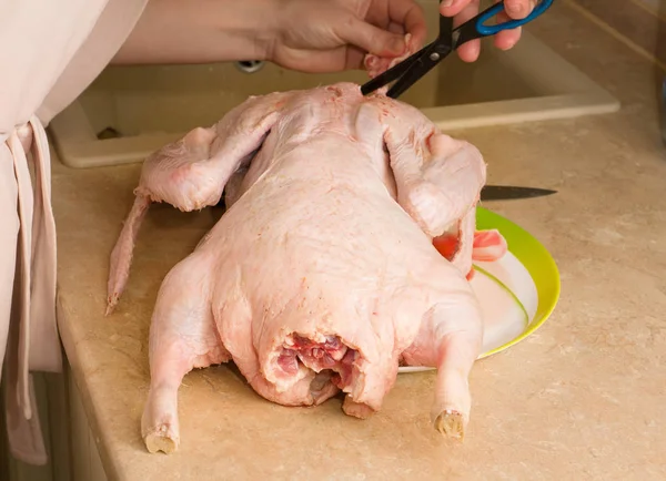 Anfitriã Está Preparando Grande Pato Gordo Para Mesa Festiva — Fotografia de Stock