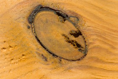 Ahşap tahta izleri düğüm yakın çekim