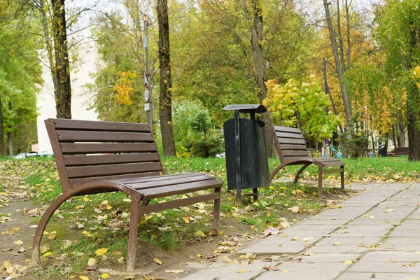 Banc Dans Parc Automne Parsemé Feuillage Jaune — Photo