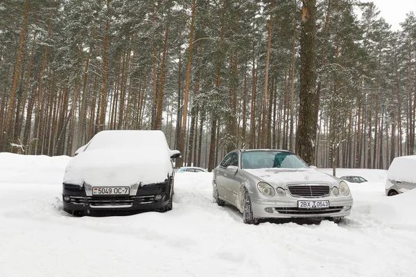 Borisov Bělorusko Března 2018 Sníh Březnu Padla Vytvořit Problémy Pro — Stock fotografie