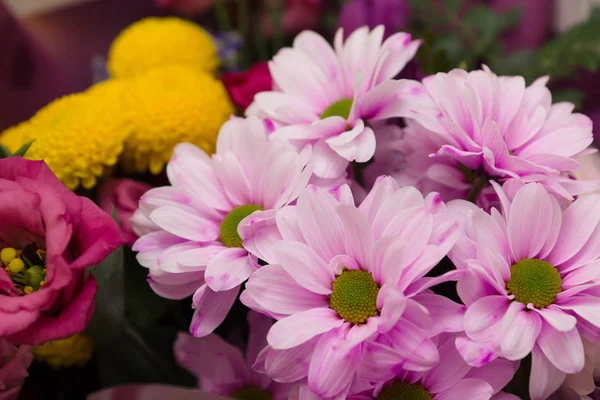 Strauß schöner Gartenblumen — Stockfoto