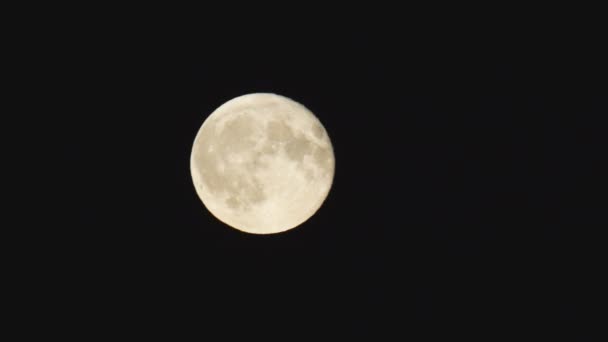 Runder Vollmond Mit Reliefelementen Steigt Schnell Den Schwarzen Himmel — Stockvideo