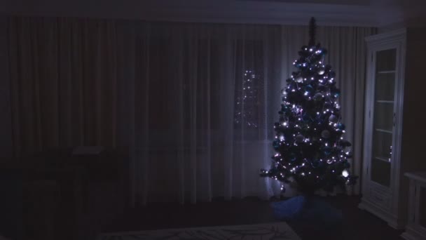 Weihnachtsbaum Mit Leuchtenden Lichtern Der Wohnung Geschmückt — Stockvideo