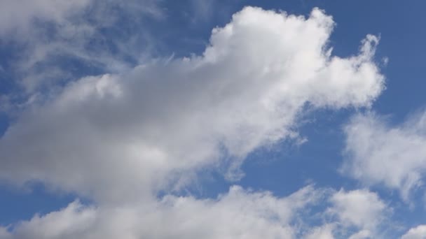 Die Weißen Wolken Fliegen Schnell Den Blauen Himmel — Stockvideo