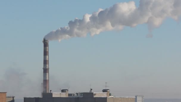 Chaminé Alta Fábrica Sopra Fumaça Sobre Cidade — Vídeo de Stock