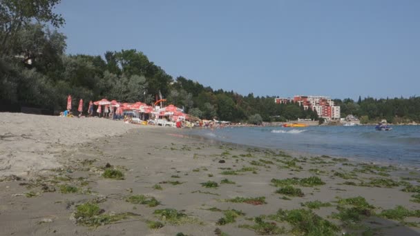 Nessebar Bulgaria June 2016 Thousands Tourists Visit Bulgaria Hotels Summer — Stock Video