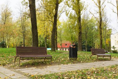 sonbahar bir parkta bankta 