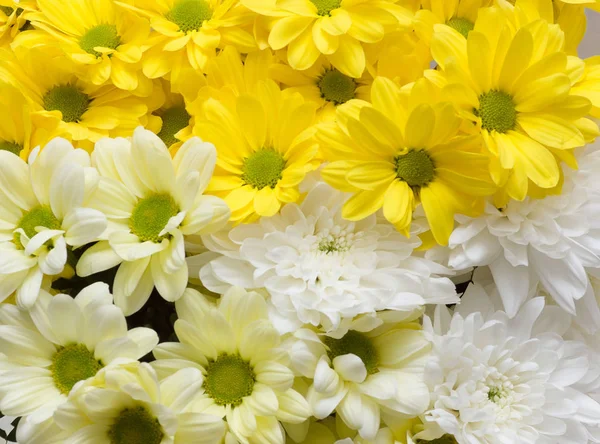 Frühling großer Strauß gelber und weißer Blumen — Stockfoto