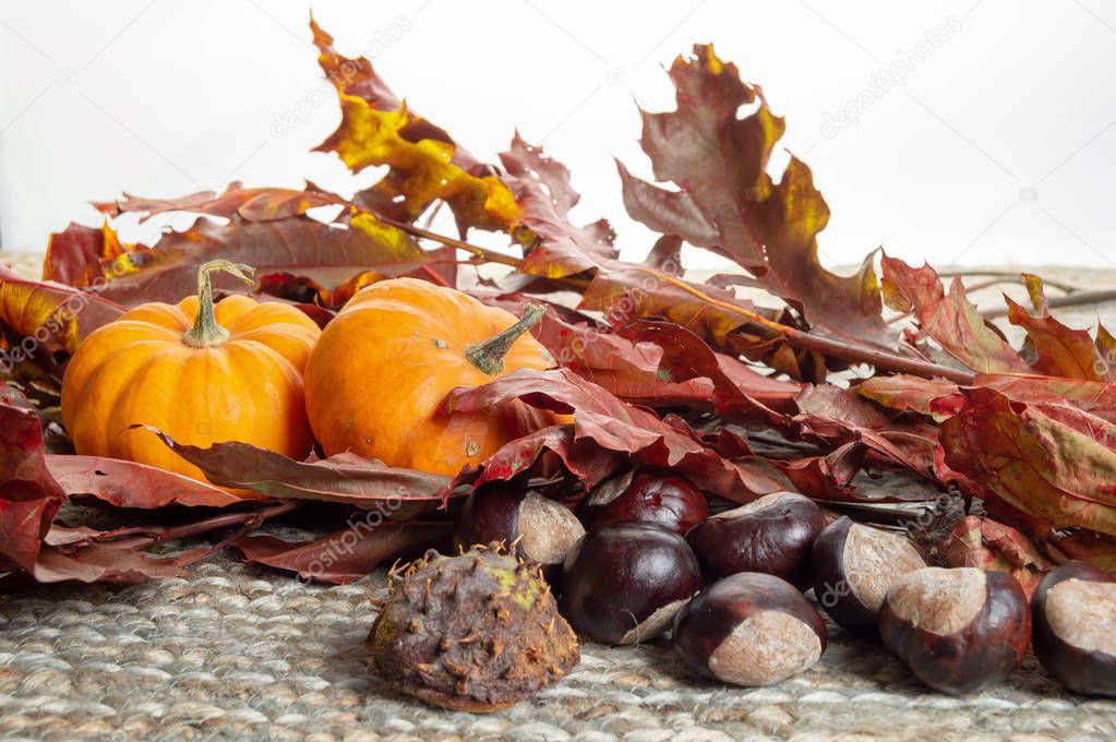 chestnuts and pumpkins on top of dried leaves