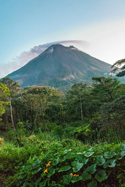 La classica forma a cono del vulcano Arenal in Costa Rica . — Foto Stock