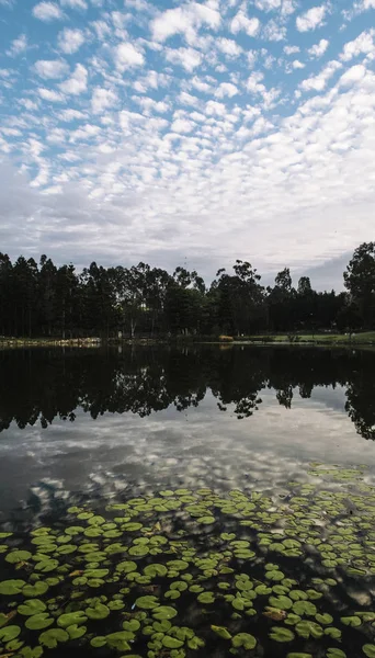 Schöner See Springfield Seen Ipswich City Königin Morgen — Stockfoto