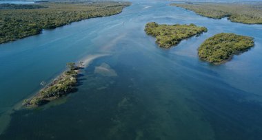 Güzel aslanlar Park beach adlı Jacobs de, gün boyunca Gold Coast.
