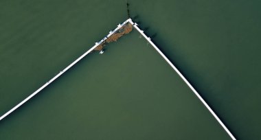 Güzel aslanlar Park beach adlı Jacobs de, gün boyunca Gold Coast.