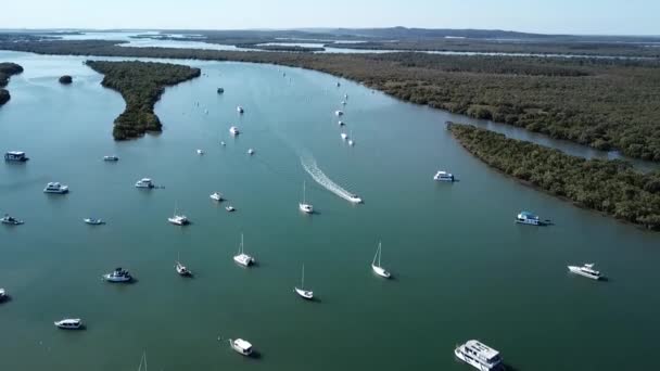 Beautiful Lions Park Beach Jacobs Well Gold Coast Dagen — Stockvideo