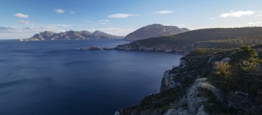 Freycinet Milli Parkı, Tasmanya koyda sazan