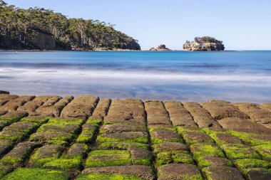 Korsanlar Bay, Tasmania'deki / daki mozaik döşeme görünümü.