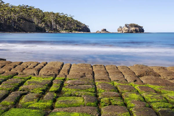 View of Tessellated Pavement in Pirates Bay, Tasmania.