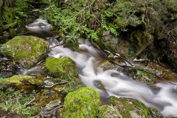 Bela Cratera Cai Montanha Berço Tasmânia — Fotografia de Stock