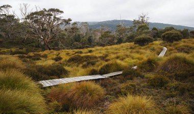Cradle Mountain Maryland parça.