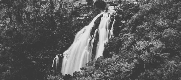 Gyönyörű fekete-fehér Waratah Falls Waratah, Tasmania. — Stock Fotó