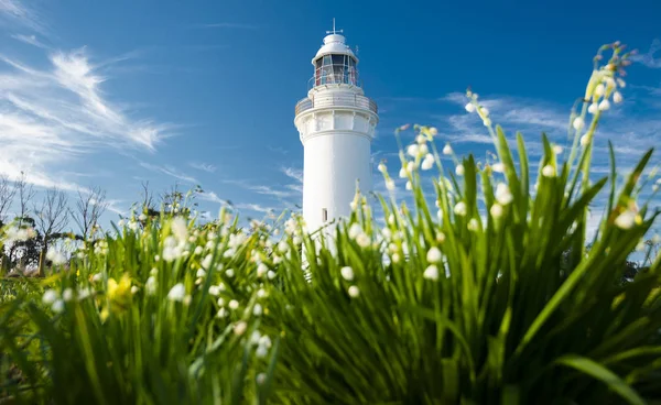 Vackra Tabell Cape Lighthouse Tasmanien Fin Sommardag — Stockfoto