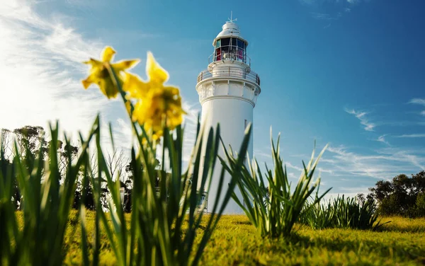 Vackra Tabell Cape Lighthouse Tasmanien Fin Sommardag — Stockfoto