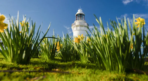 Vackra Tabell Cape Lighthouse Tasmanien Fin Sommardag — Stockfoto