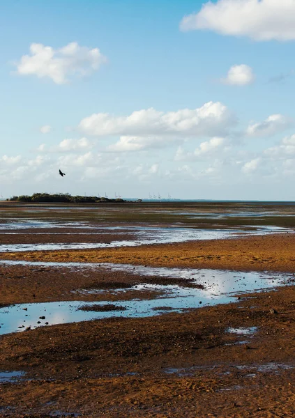 Wellington Point Playa Situada Brisbane Queensland — Foto de Stock