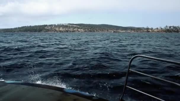 Uitzicht Bruny Island Waters Tasmanië Australië Gedurende Dag — Stockvideo