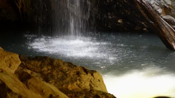 Водоспад Природного Мосту Спрінгбрук Штаті Квінсленд — стокове відео