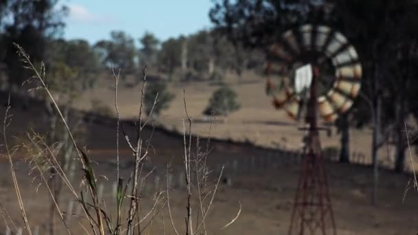 Rusztikus Szélmalom Vidéken Queensland Ausztrália — Stock videók