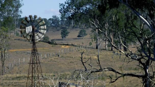 Rustik Väderkvarn Landsbygden Queensland Australien — Stockvideo