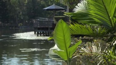 Gün boyunca Ipswich City, Queensland, Avustralya'daki Springfield Gölleri.