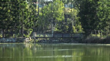Gün boyunca Ipswich City, Queensland, Avustralya'daki Springfield Gölleri.