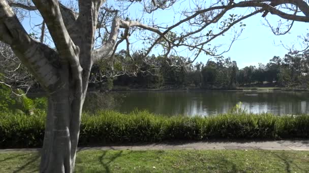 Springfield Lakes Ipswich Cityben Queensland Ausztrália Nap Folyamán — Stock videók