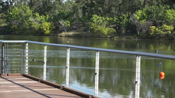 Springfield Lakes Ipswich City Queensland Australia Durante Día — Vídeos de Stock