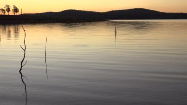 Wivenhoe Gölü'ndeki Karabatak Koyu, Queensland, Wivenhoe Barajı dışında.