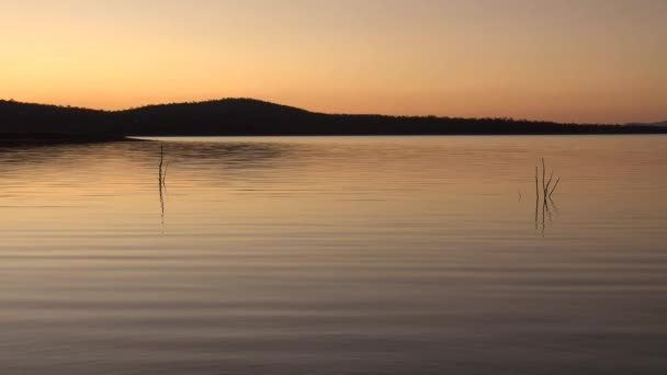 Baie Cormorant Dans Lac Wivenhoe Queensland Exception Barrage Wivenhoe — Video