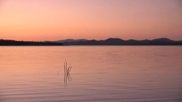 Cormorant Bay Lake Wivenhoe Queensland Apart Wivenhoe Dam — Stock Video